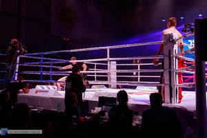 Kickboxingowa rywalizacja na najwyższym poziomie - 143 zdjęcie w galerii.