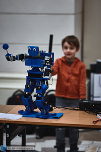 Robomaticon 2019 - 42 zdjęcie w galerii.